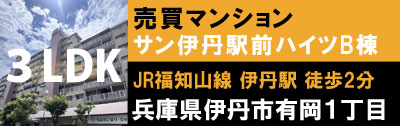 サン伊丹駅前ハイツB棟